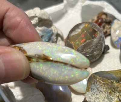 オパール化した貝化石… | 高松市美術館通り ジュエル エファーナ