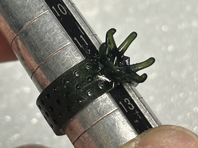 樹脂原型