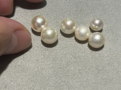 グレーの作業台の上に並べられた、サイズの異なる6粒のあこや真珠。