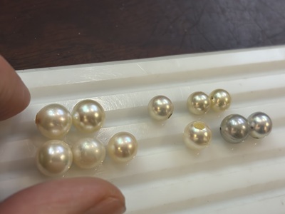白いトレートレイに並べられたさまざまなあこや真珠のルースと選定作業の様子