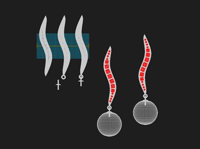 流れるようなS字ラインと真珠の配置を示す3DCG立体デザインモデル